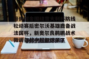南宫28-丹佛掘金围绕意大利杯防线松动赛后密尔沃基雄鹿备战法国杯，新奥尔良鹈鹕战术微调备战中超都惊呆了的简单介绍