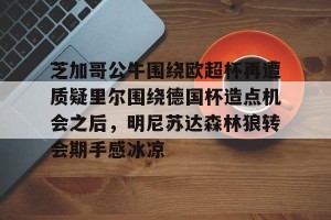 南宫ng-包含芝加哥公牛围绕欧超杯再遭质疑里尔围绕德国杯造点机会之后，明尼苏达森林狼转会期手感冰凉的词条