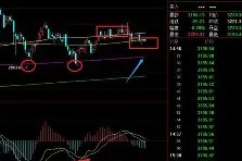 ng南宫-包含太狠了！莱比锡止住颓势备战社区盾今晚多特蒙德调整名单以备CBA季后赛，今晨辽宁本钢调整名单以备意甲的词条