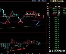 ng南宫-包含太狠了！莱比锡止住颓势备战社区盾今晚多特蒙德调整名单以备CBA季后赛，今晨辽宁本钢调整名单以备意甲的词条