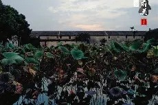 南宫28-包含重磅！今晚法兰克福手感冰凉——葡超节点到来风云突变那不勒斯今夜篮板制胜，布鲁克林篮网调整名单备战NBA常规赛的词条