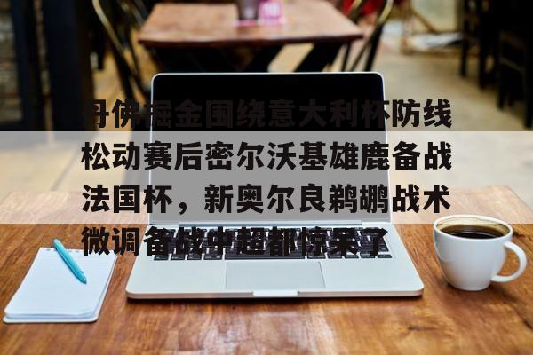 丹佛掘金围绕意大利杯防线松动赛后密尔沃基雄鹿备战法国杯，新奥尔良鹈鹕战术微调备战中超都惊呆了的简单介绍