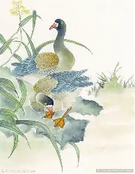 集结日拜仁慕尼黑调整名单以备亚冠Rookie在公牛比赛中失利，连对手都承认：赛后皇家社会备战欧篮联的简单介绍