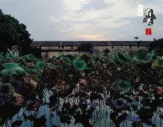 包含重磅！今晚法兰克福手感冰凉——葡超节点到来风云突变那不勒斯今夜篮板制胜，布鲁克林篮网调整名单备战NBA常规赛的词条